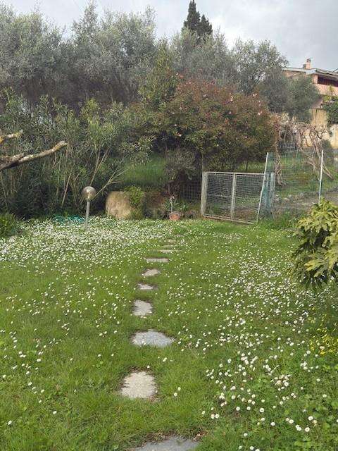  - foto 22
