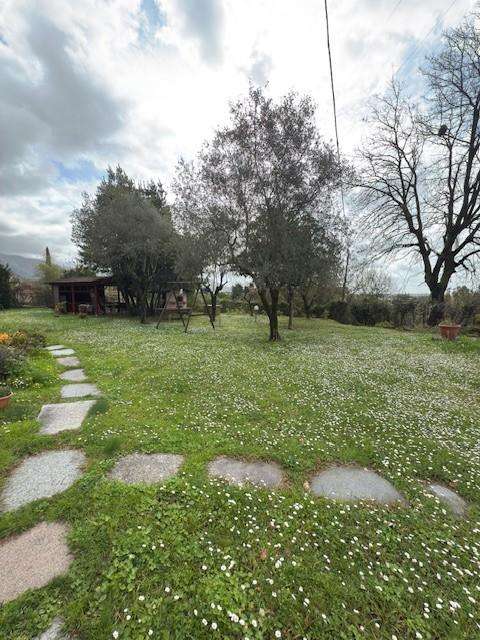  - foto 24