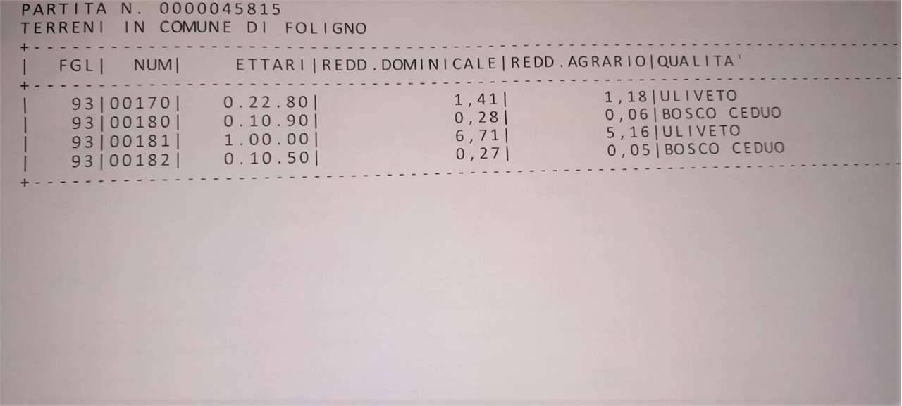 immagine annuncio 2 di 4