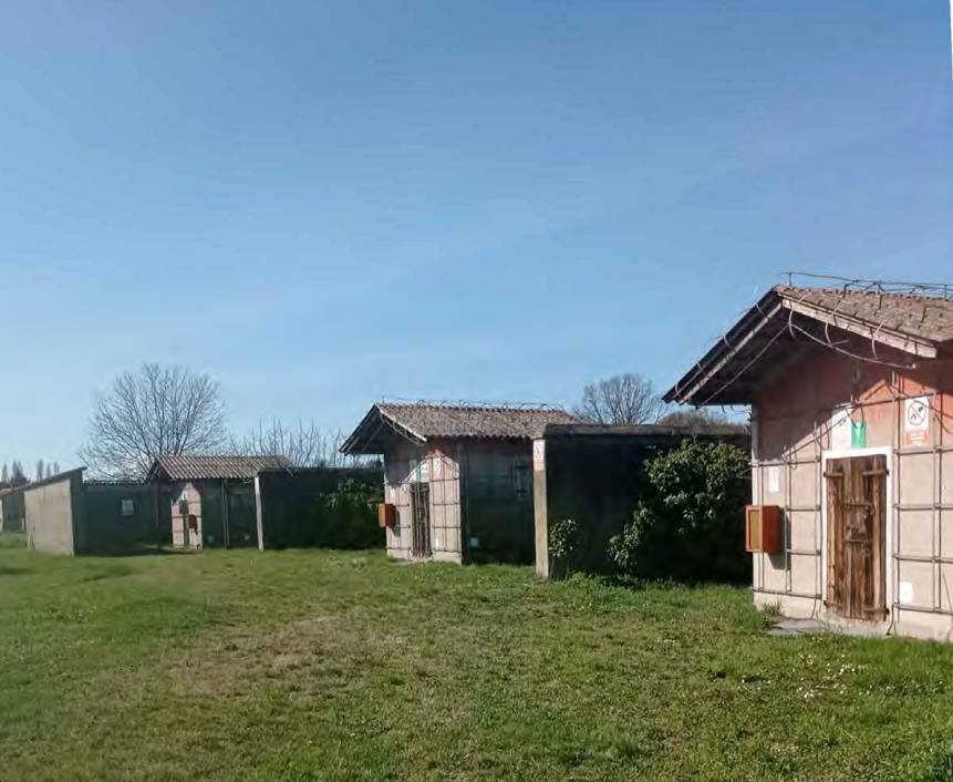 immagine annuncio 3 di 10