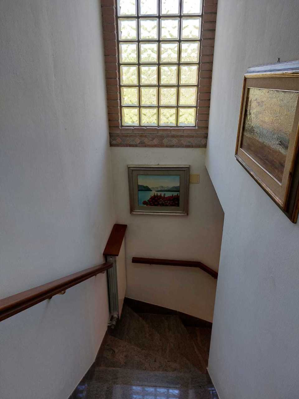  - foto 4
