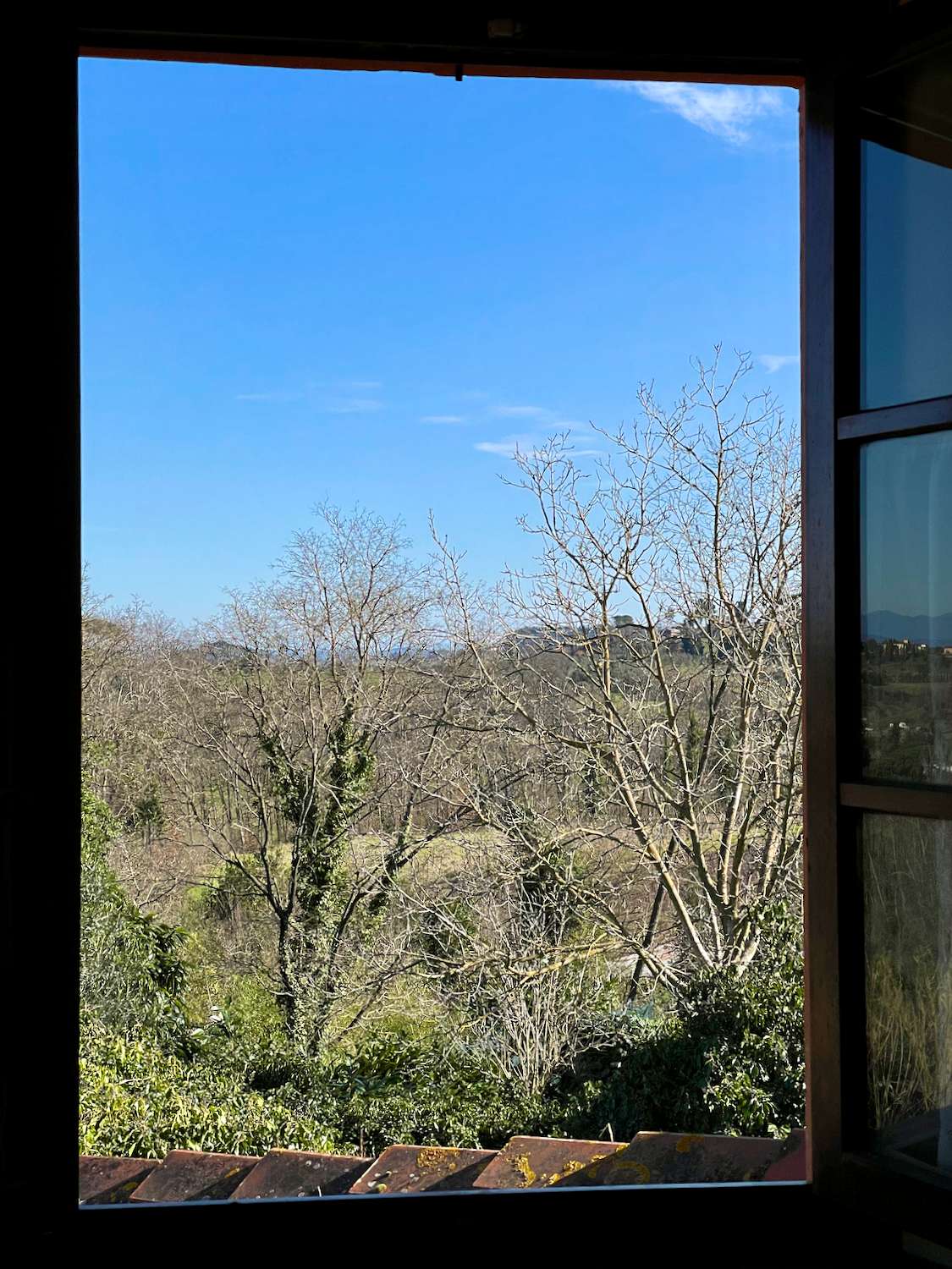 - foto 43