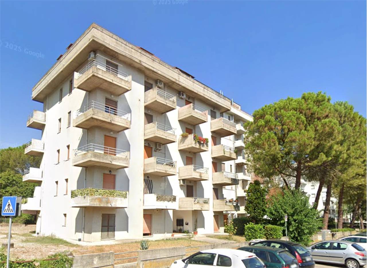 immagine annuncio 6 di 10