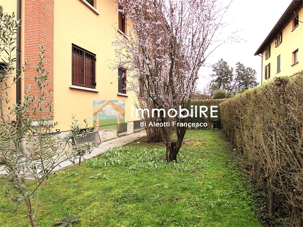 immagine annuncio 4 di 10