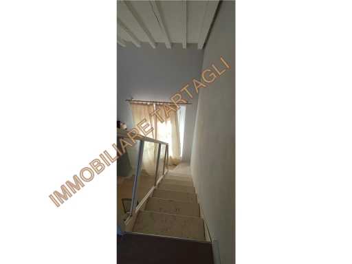  - foto 15