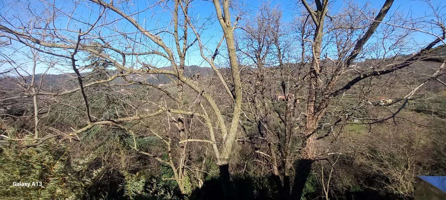  - foto 44