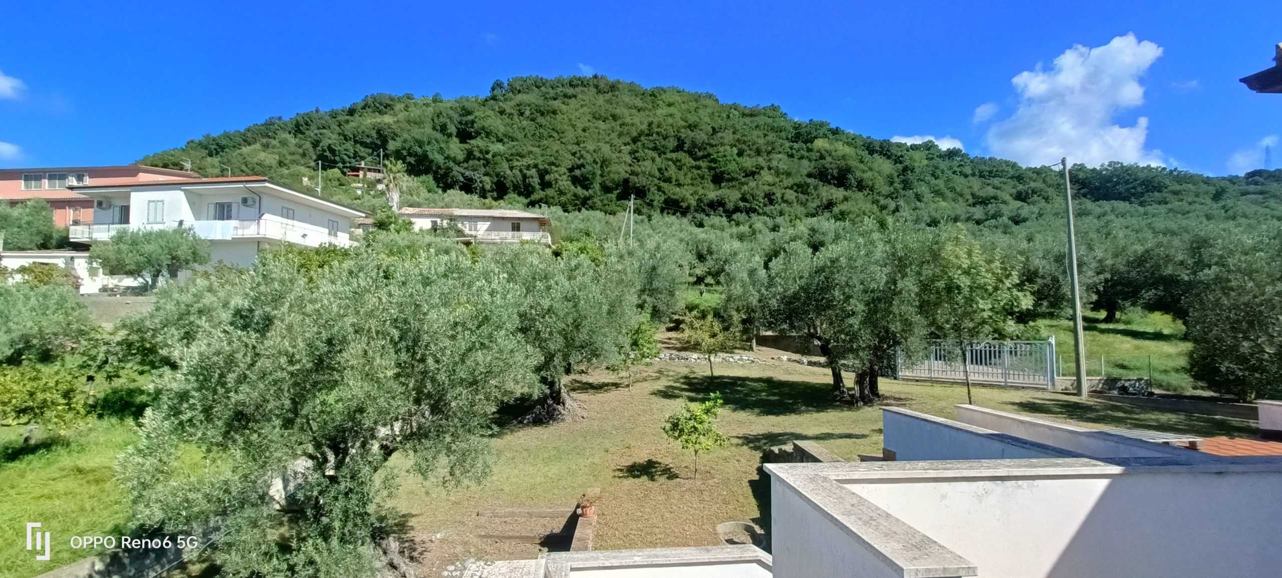  - foto 14