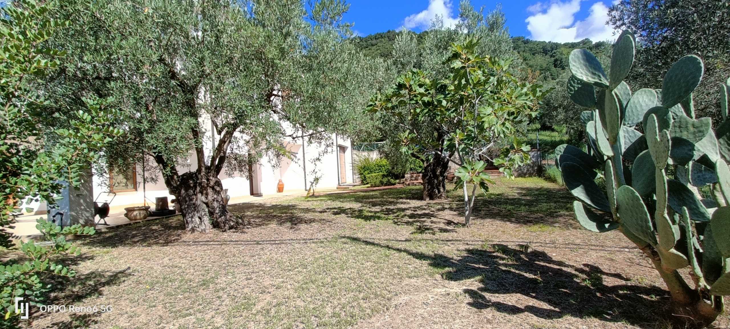  - foto 18