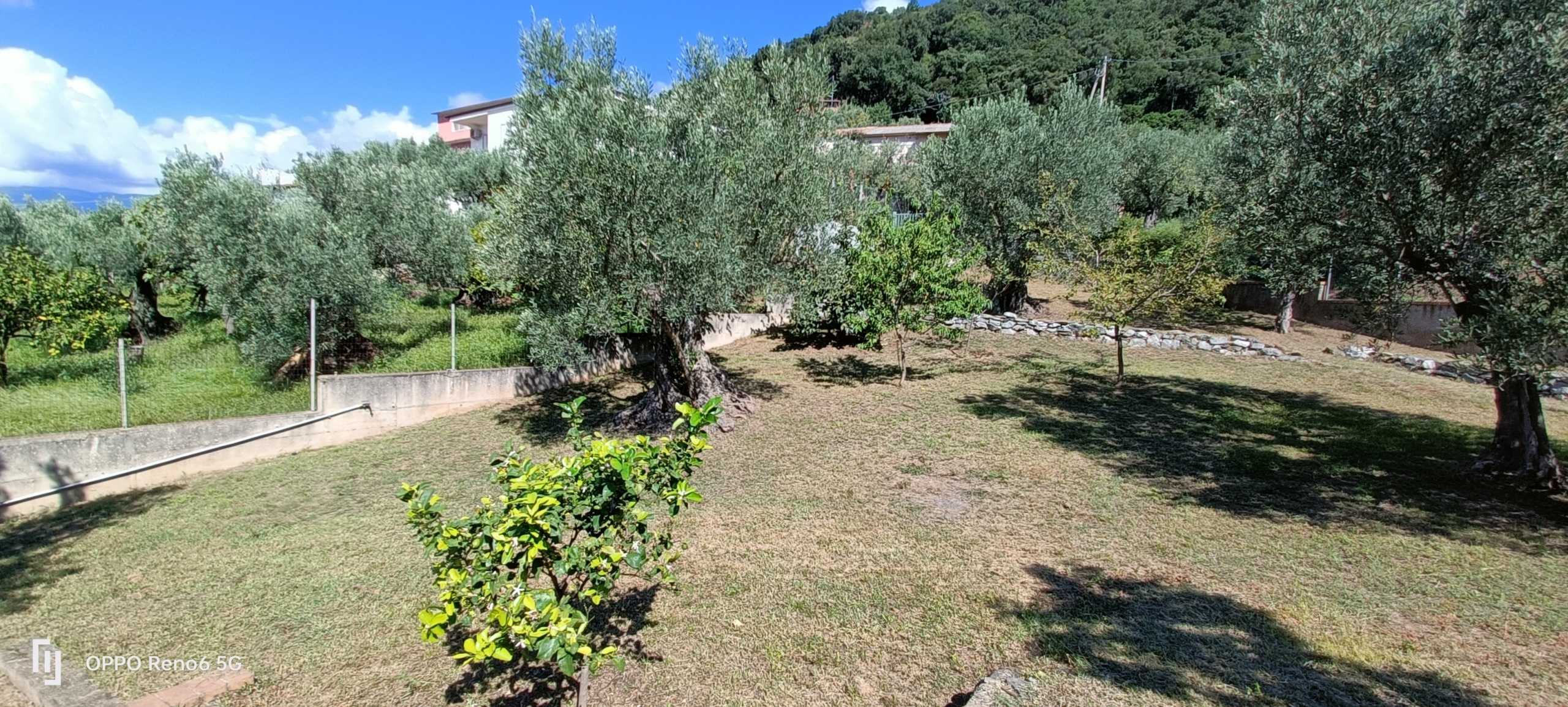  - foto 19