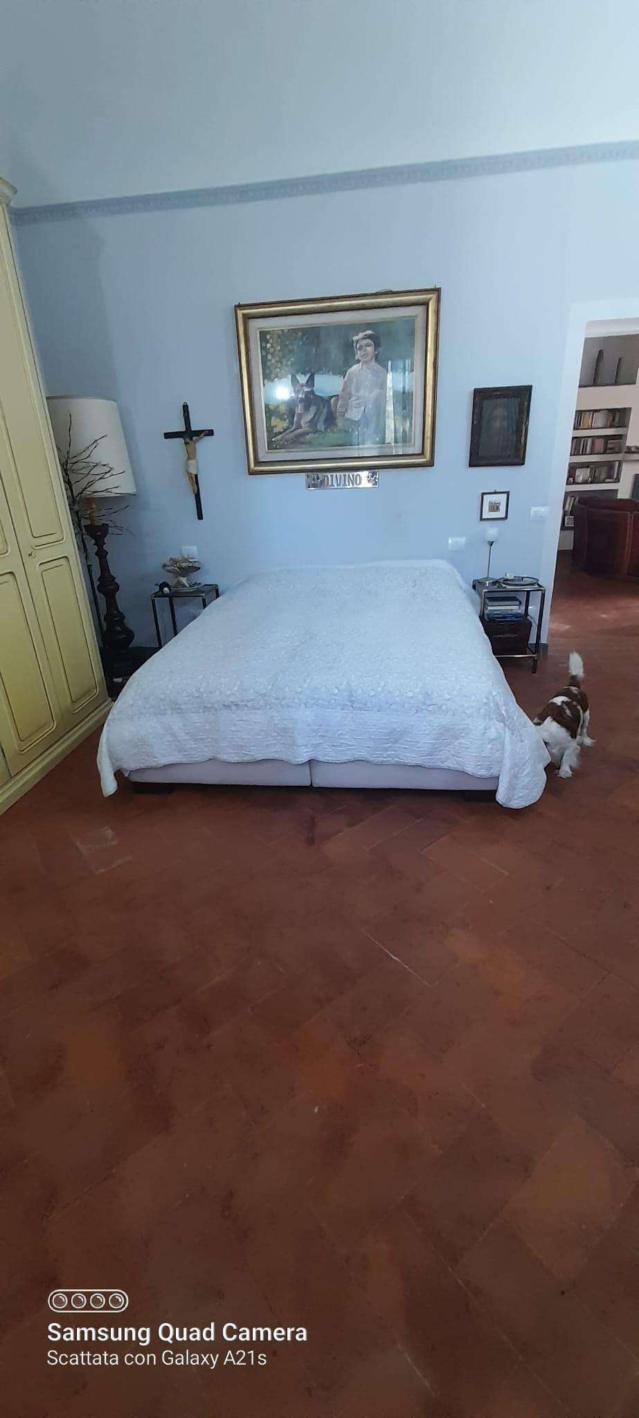  - foto 17