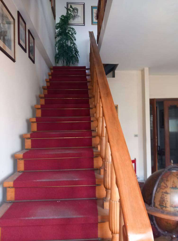  - foto 15