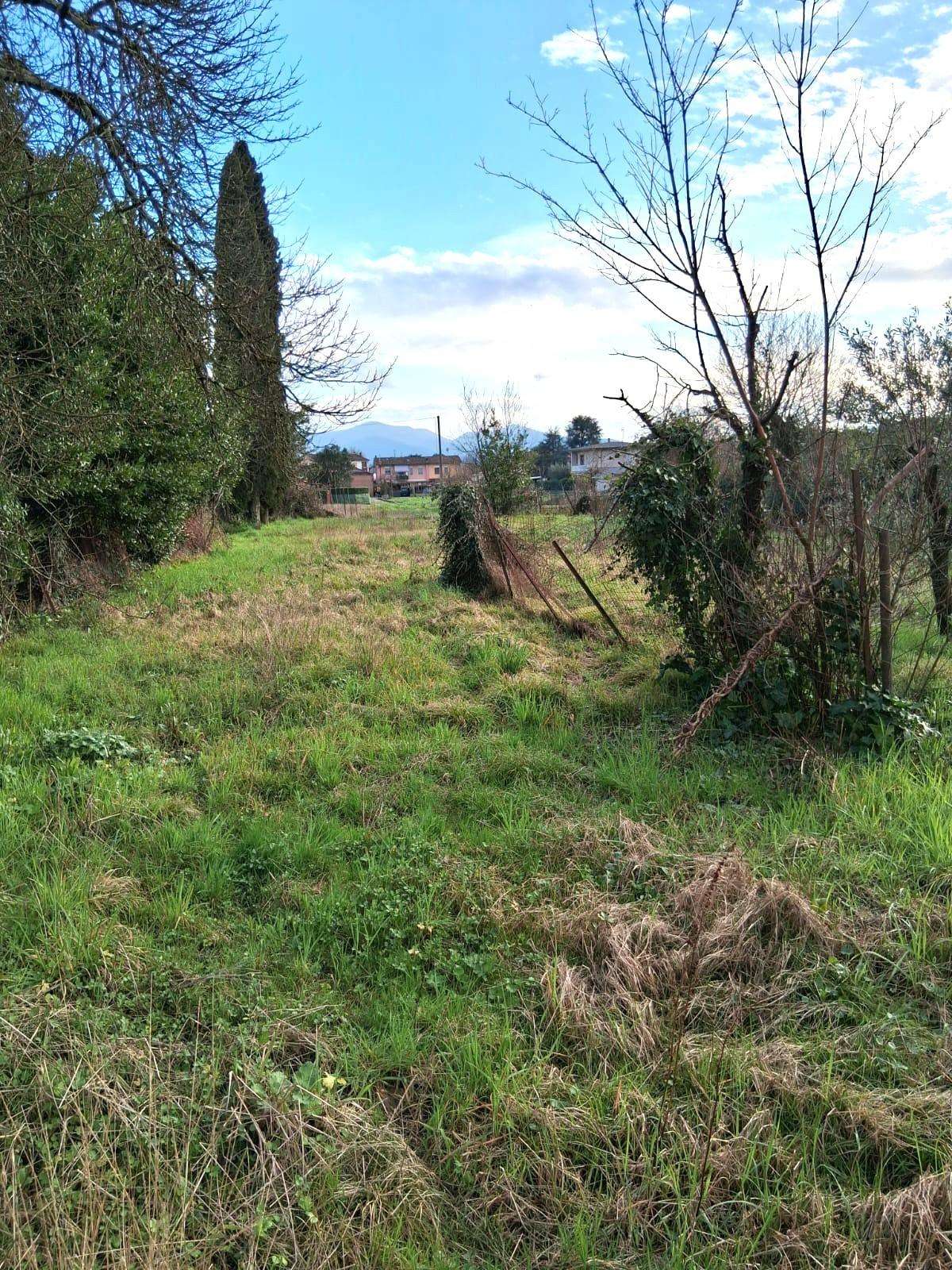  - foto 3