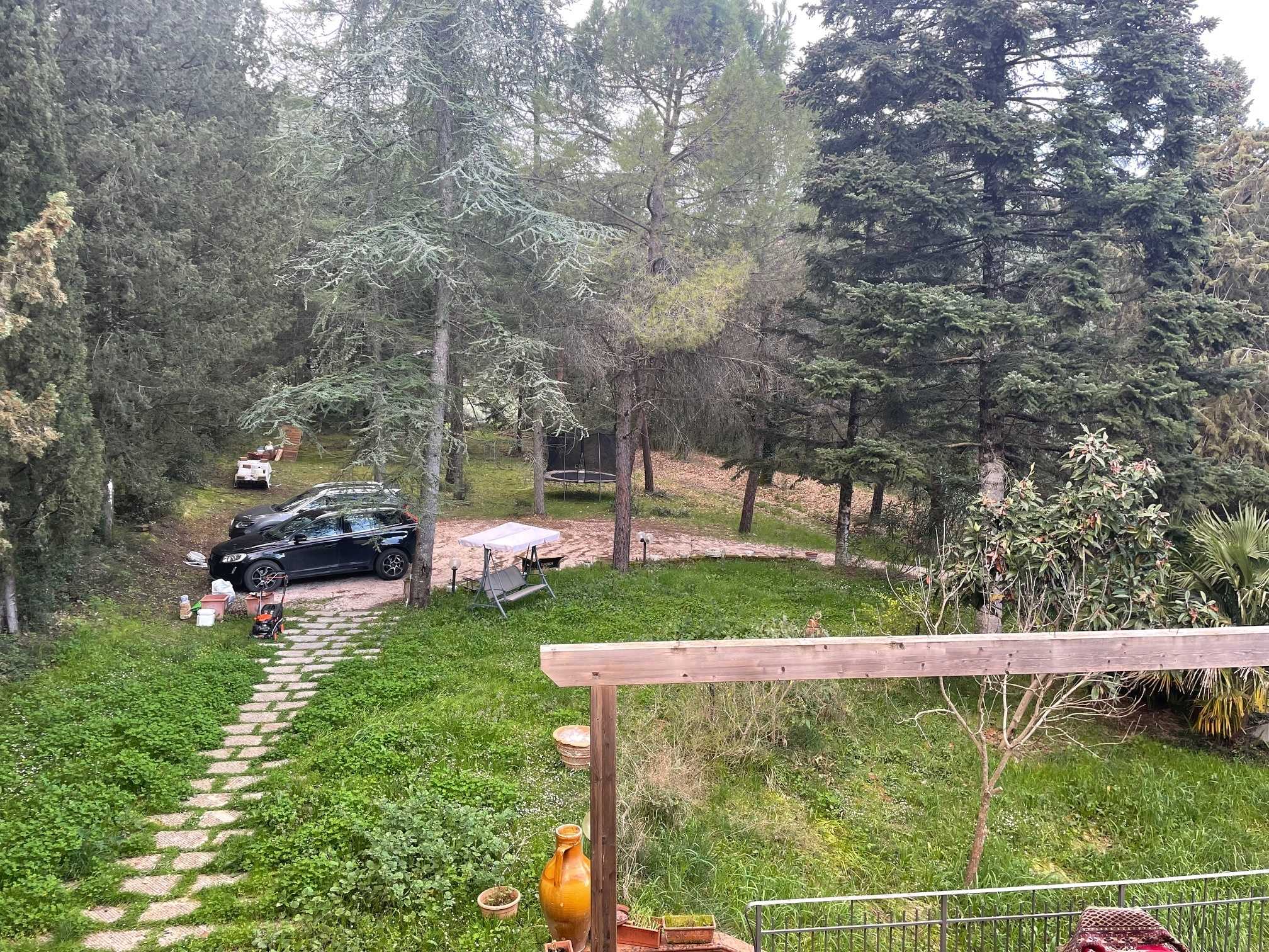  - foto 36