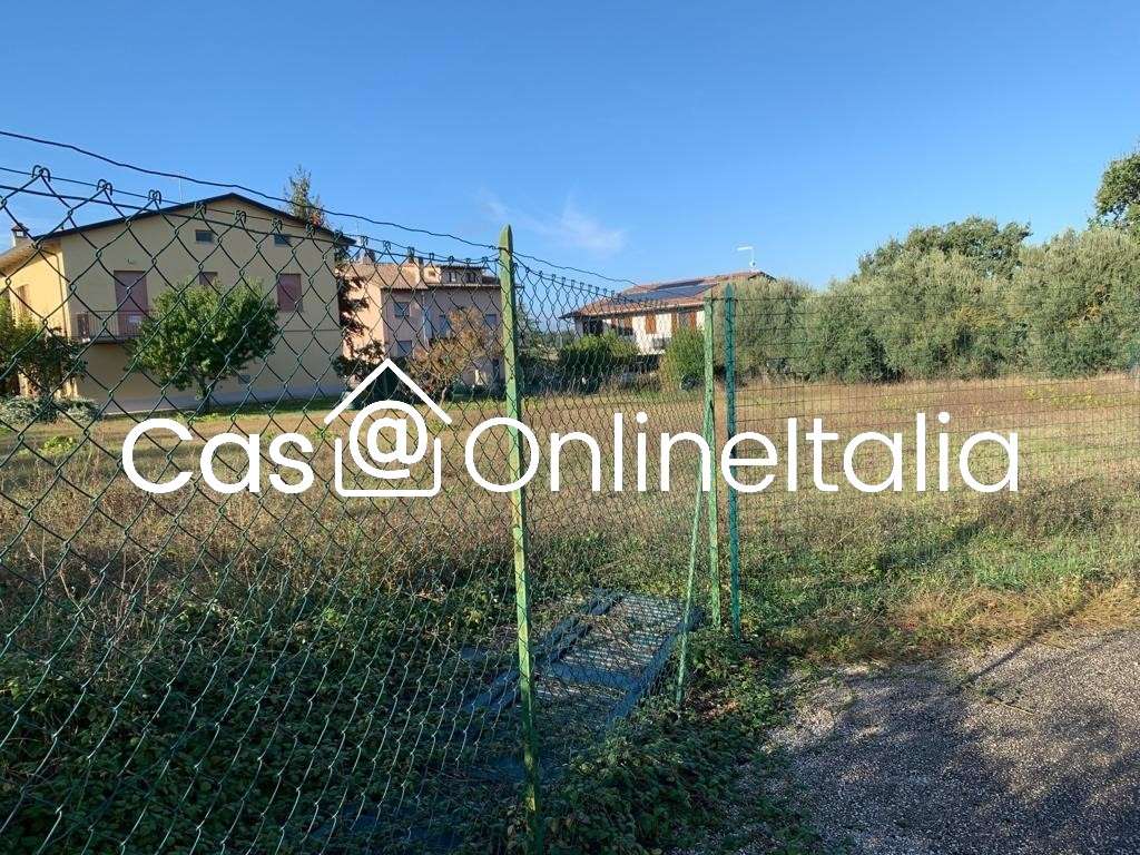 immagine annuncio 6 di 14