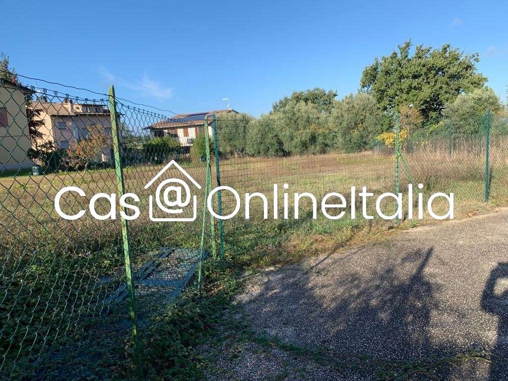 immagine annuncio 8 di 14