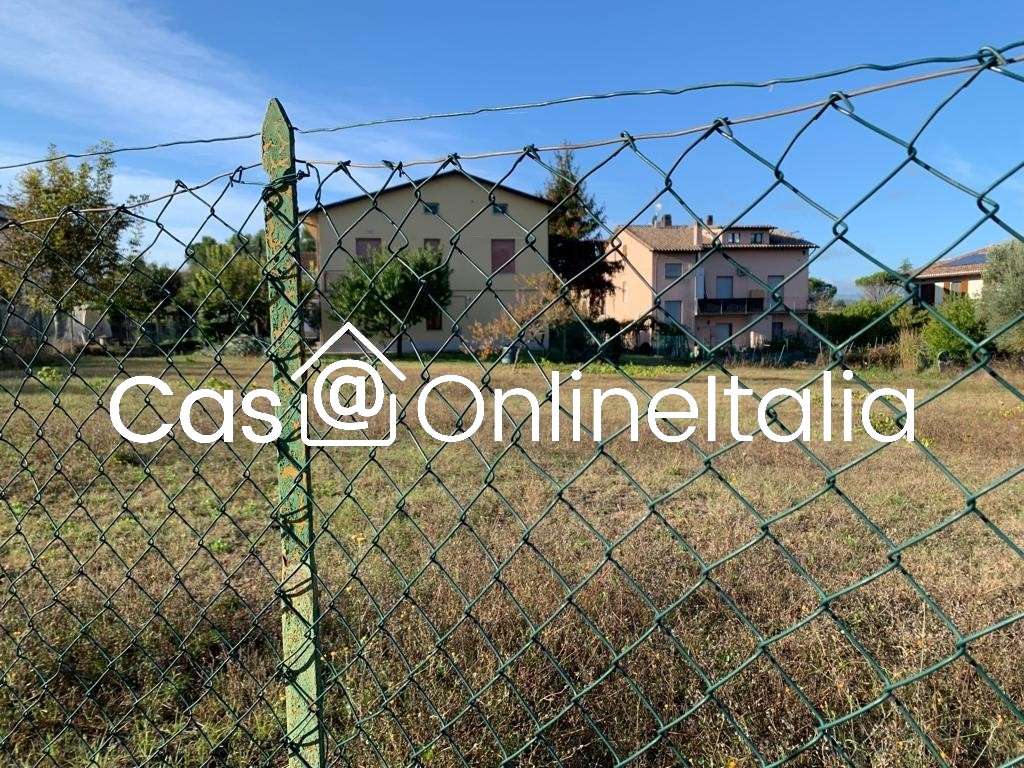 immagine annuncio 11 di 14