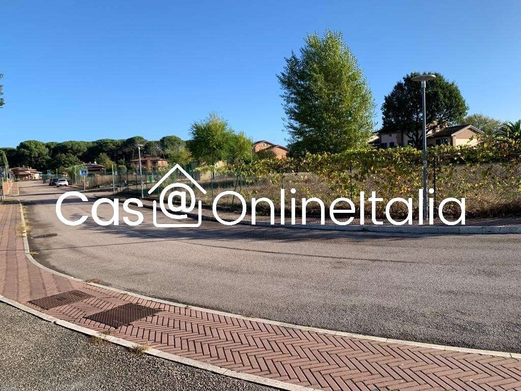 immagine annuncio 12 di 14