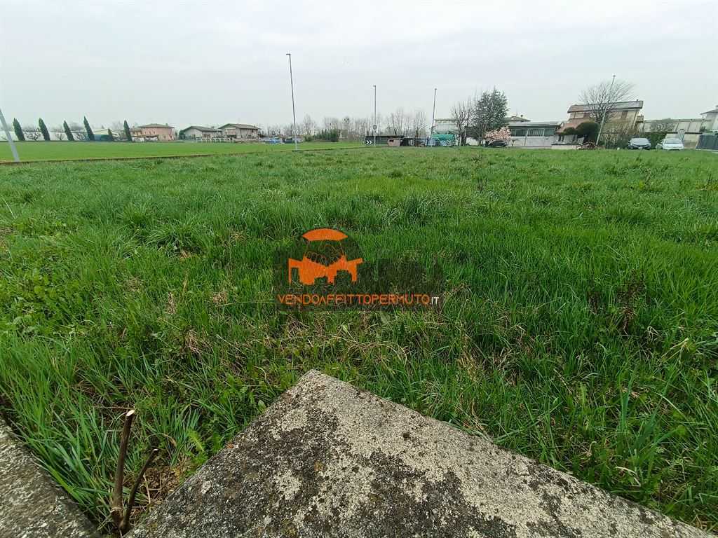 immagine annuncio 2 di 8