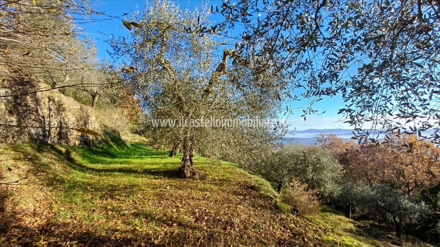 immagine annuncio 1 di 9