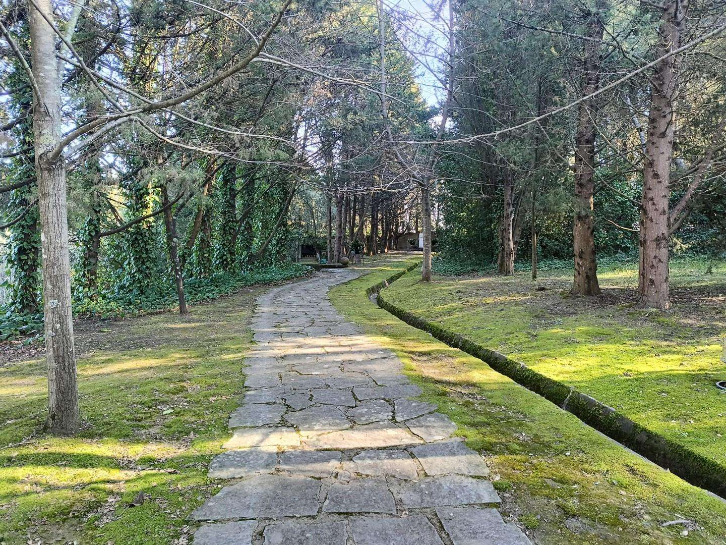 - foto 6