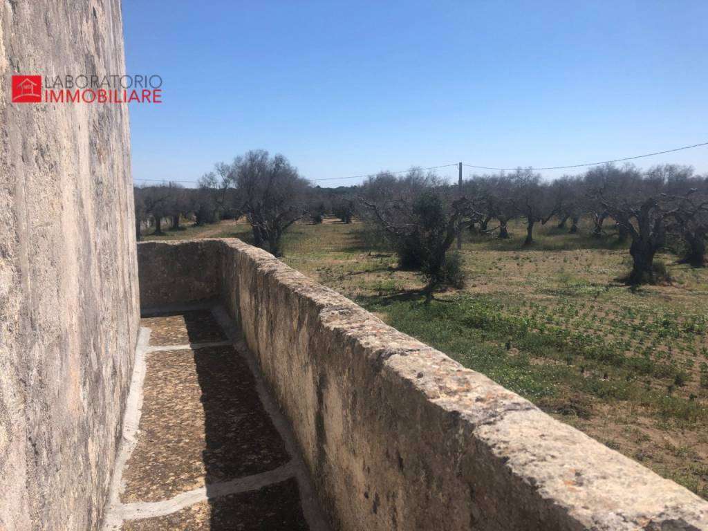  - foto 31