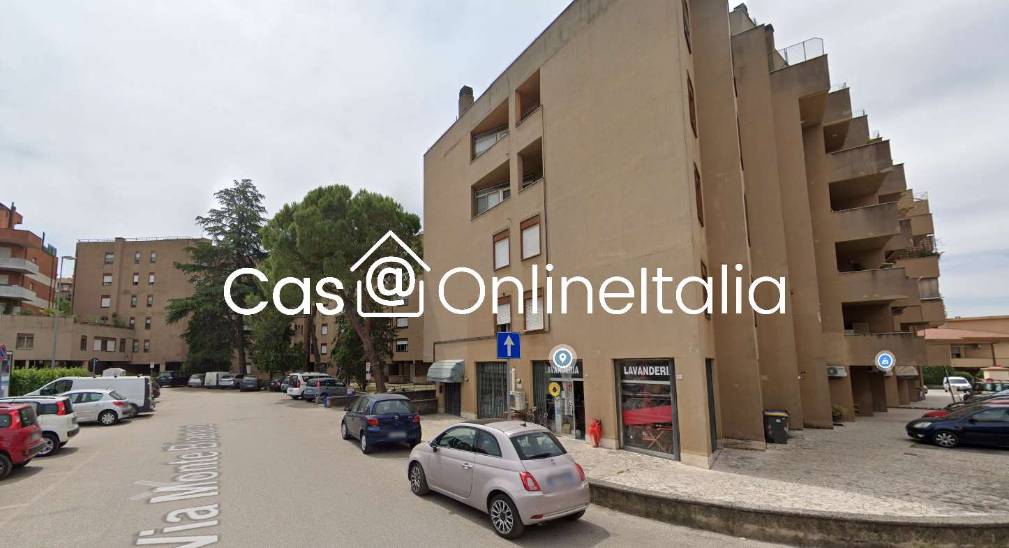 immagine annuncio 2 di 11