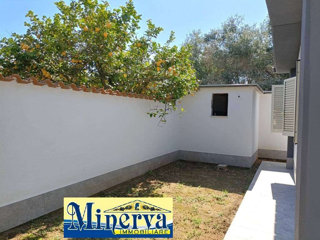  - foto 43