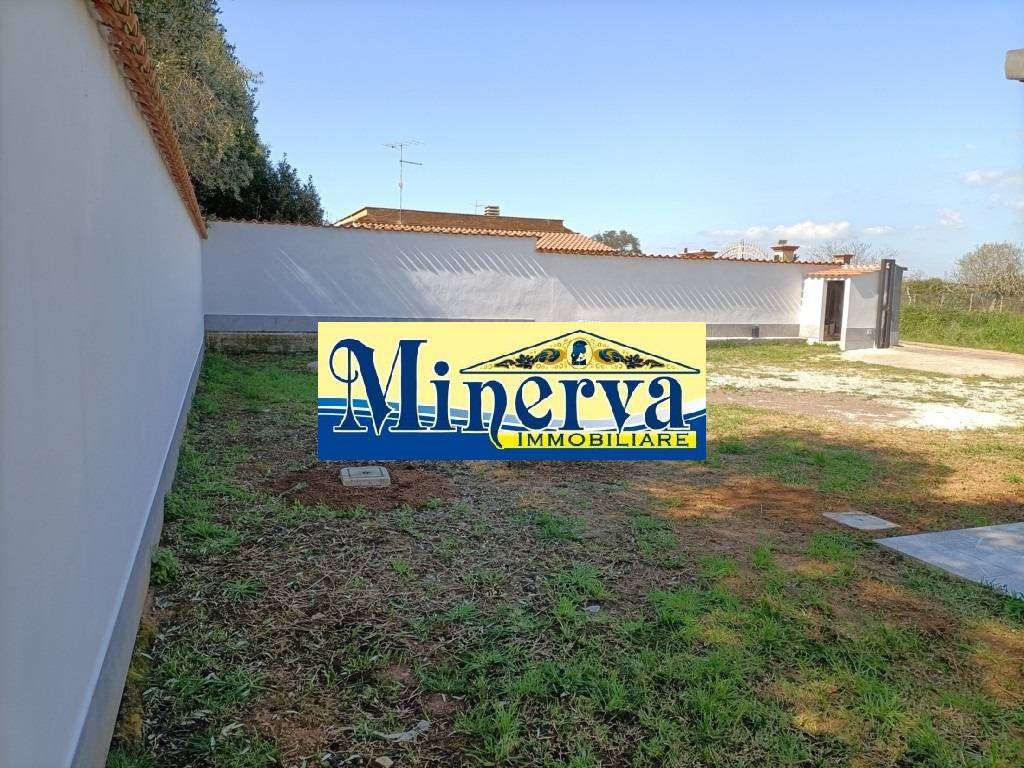  - foto 54