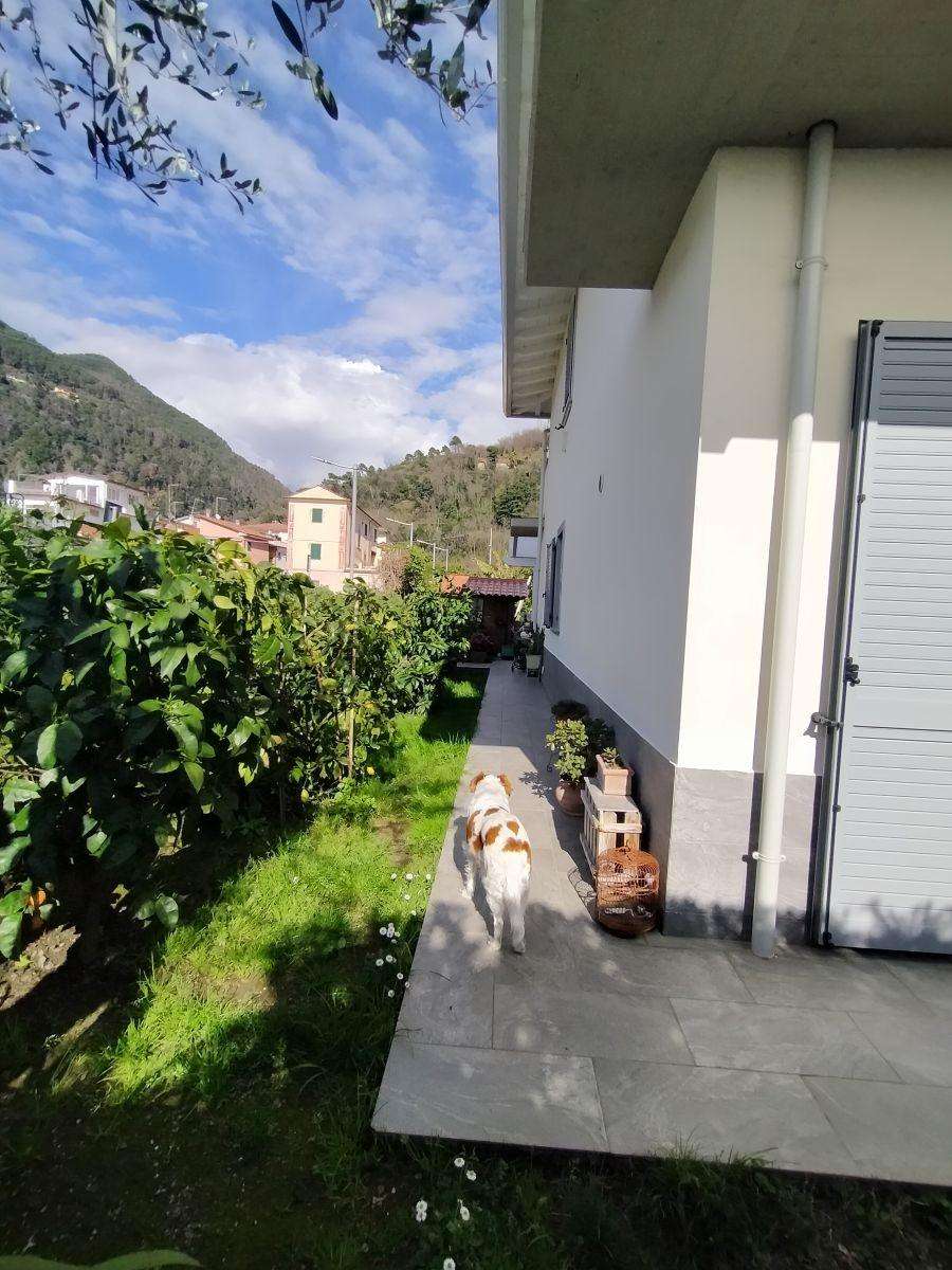  - foto 20