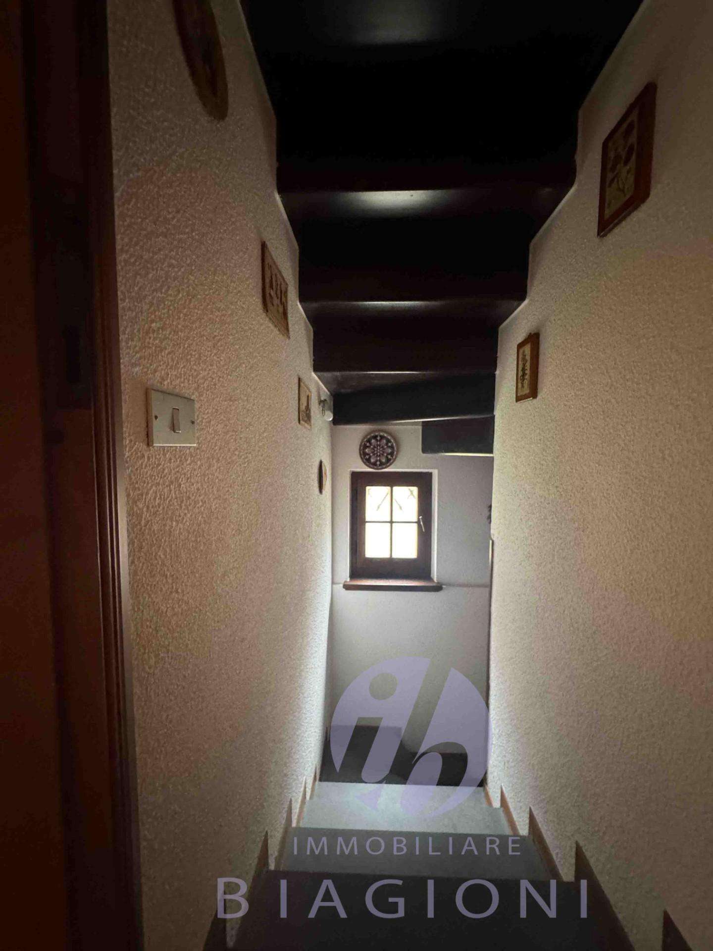  - foto 12