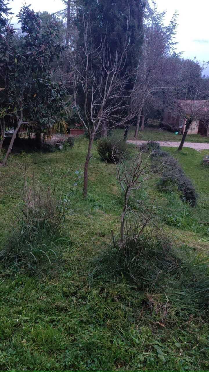  - foto 45
