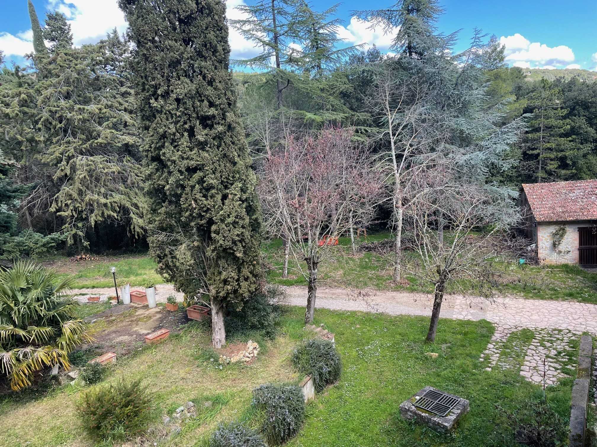  - foto 47