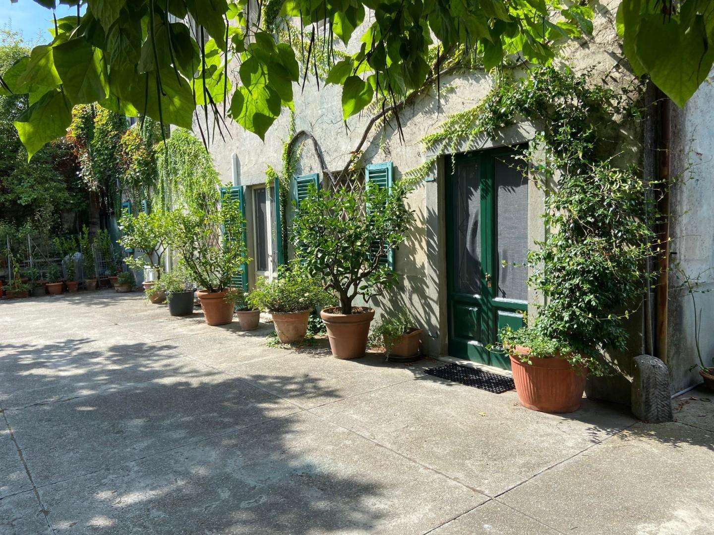  - foto 59