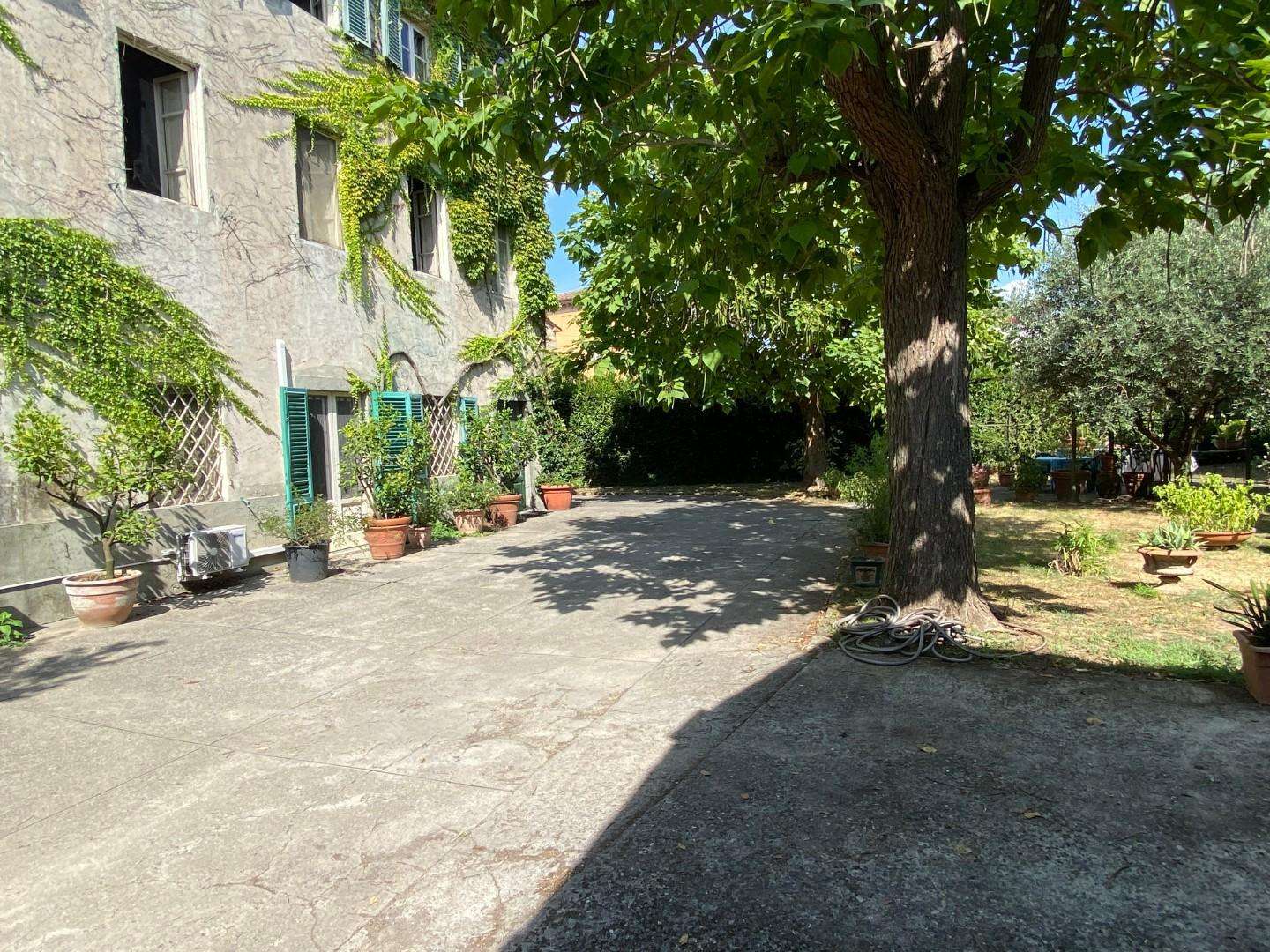  - foto 66