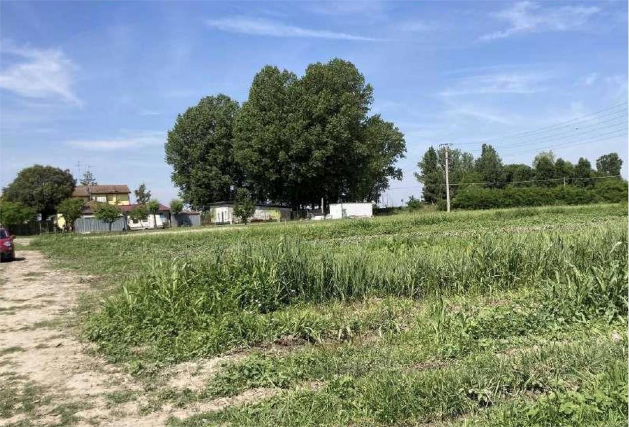 immagine annuncio 6 di 7