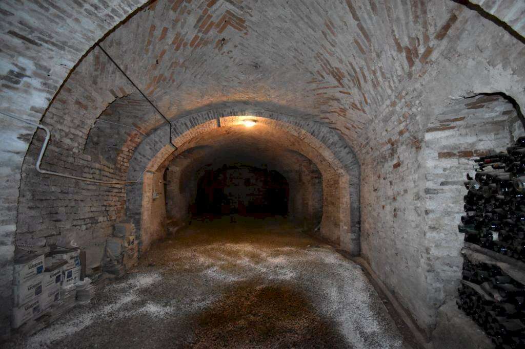 immagine annuncio 5 di 13