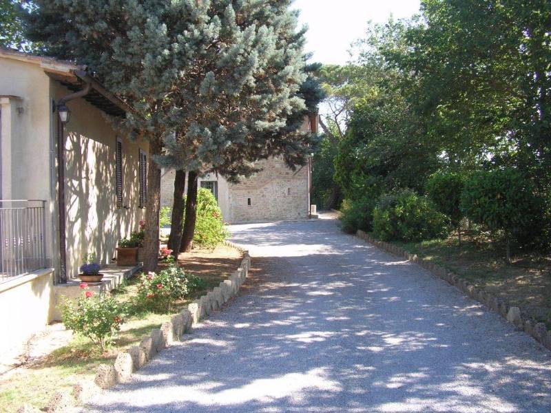  - foto 35