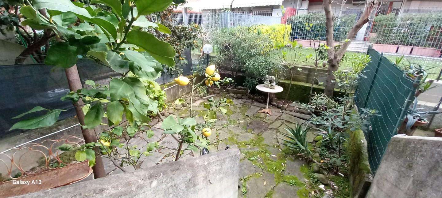  - foto 5