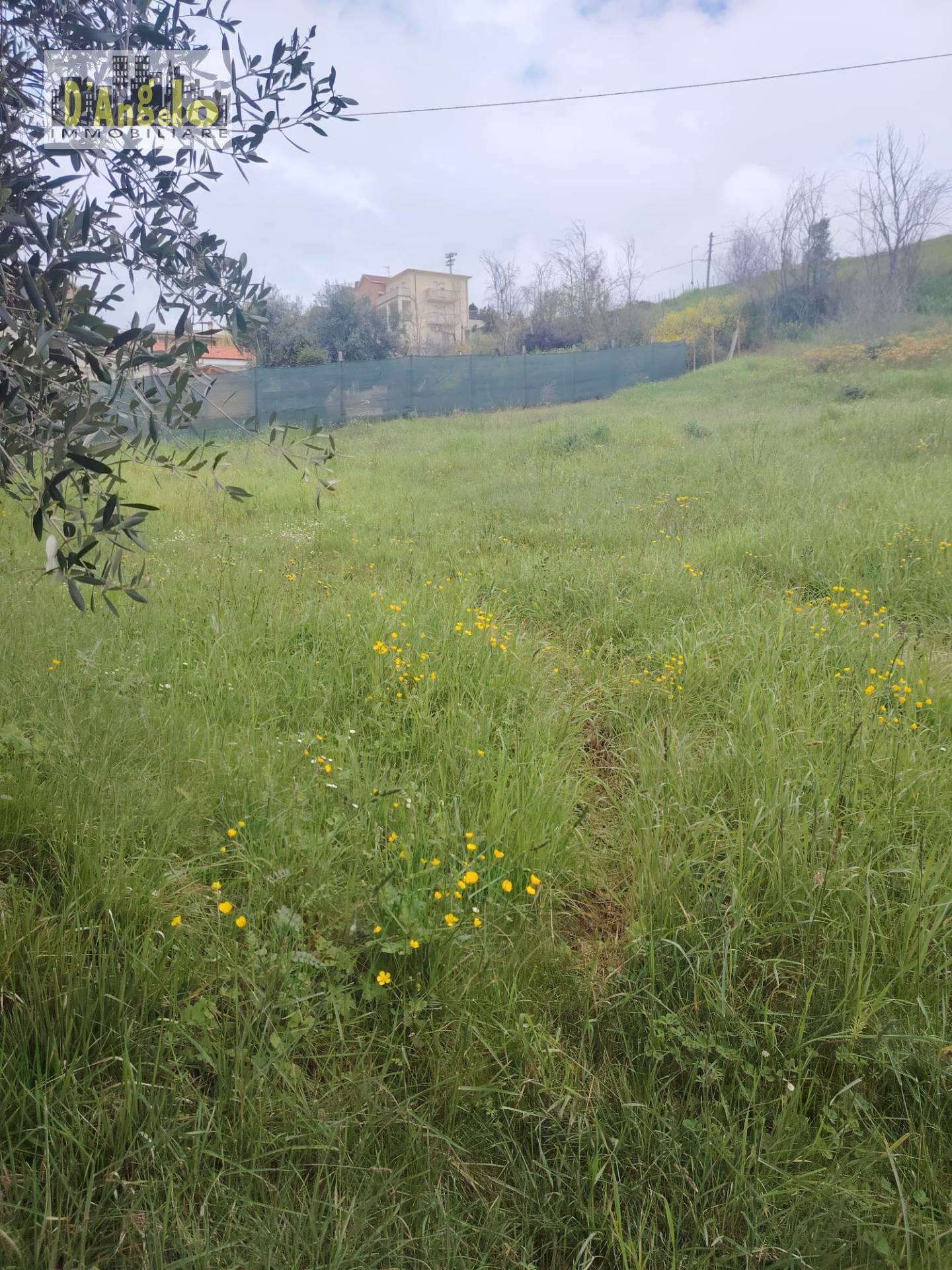  - foto 10