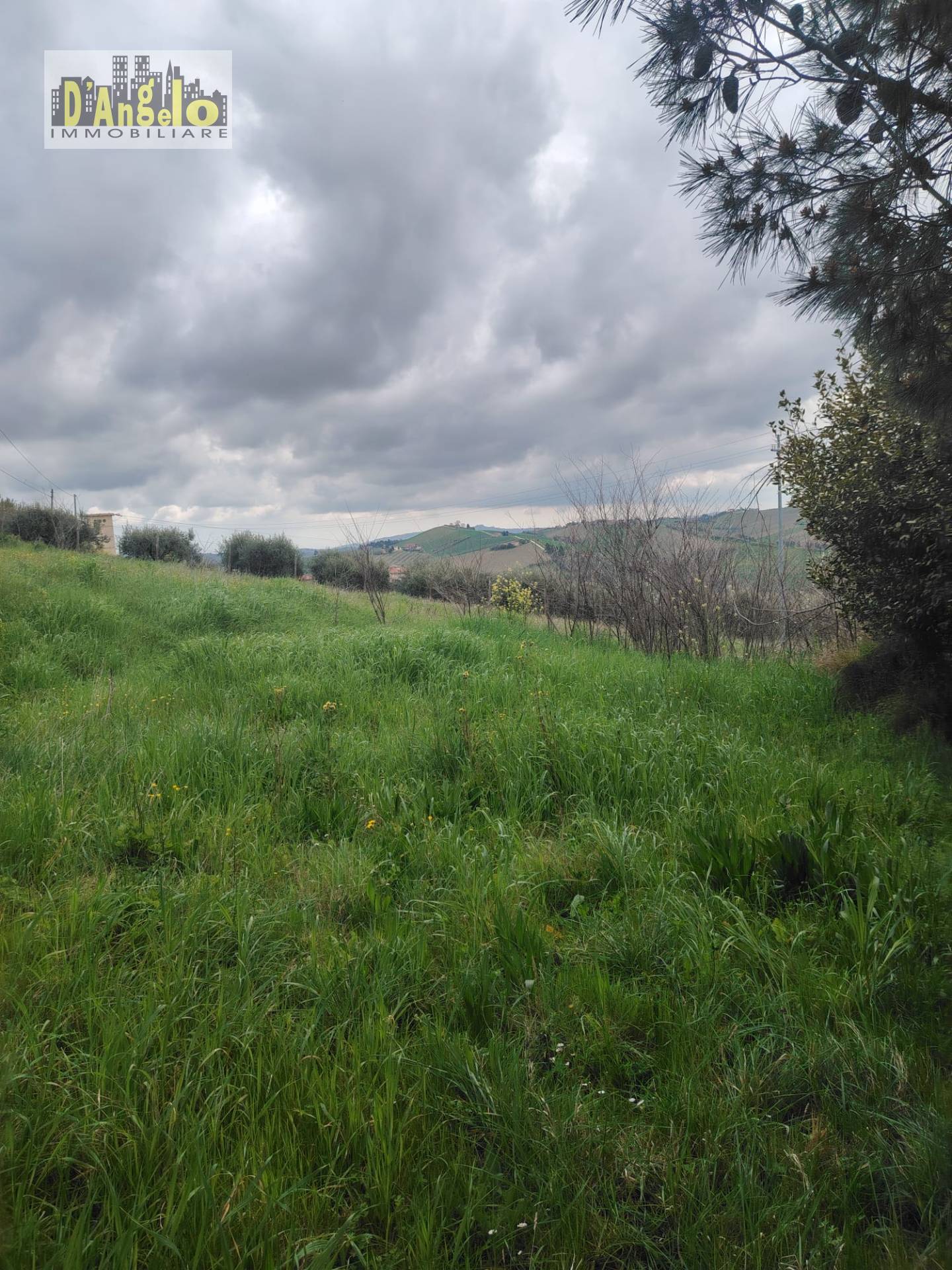  - foto 8