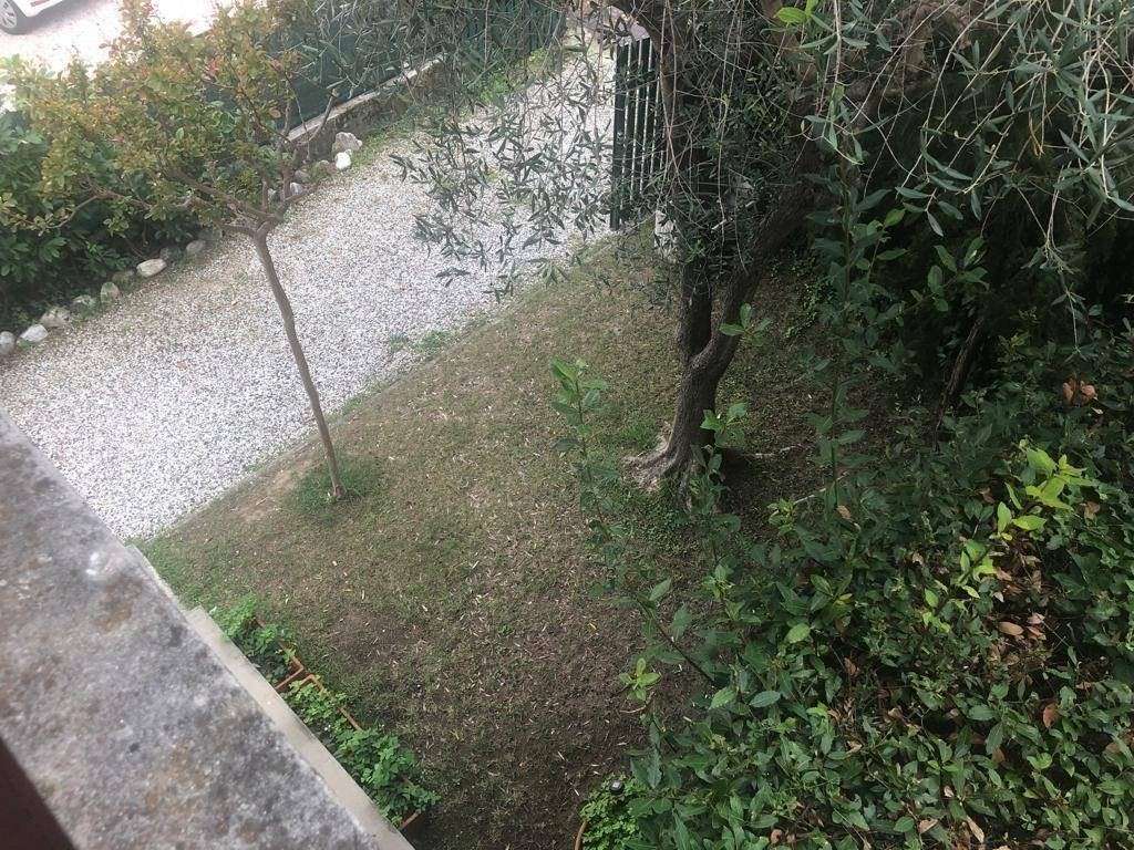  - foto 20