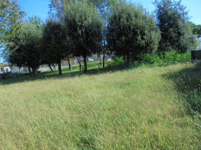 immagine annuncio 4 di 6