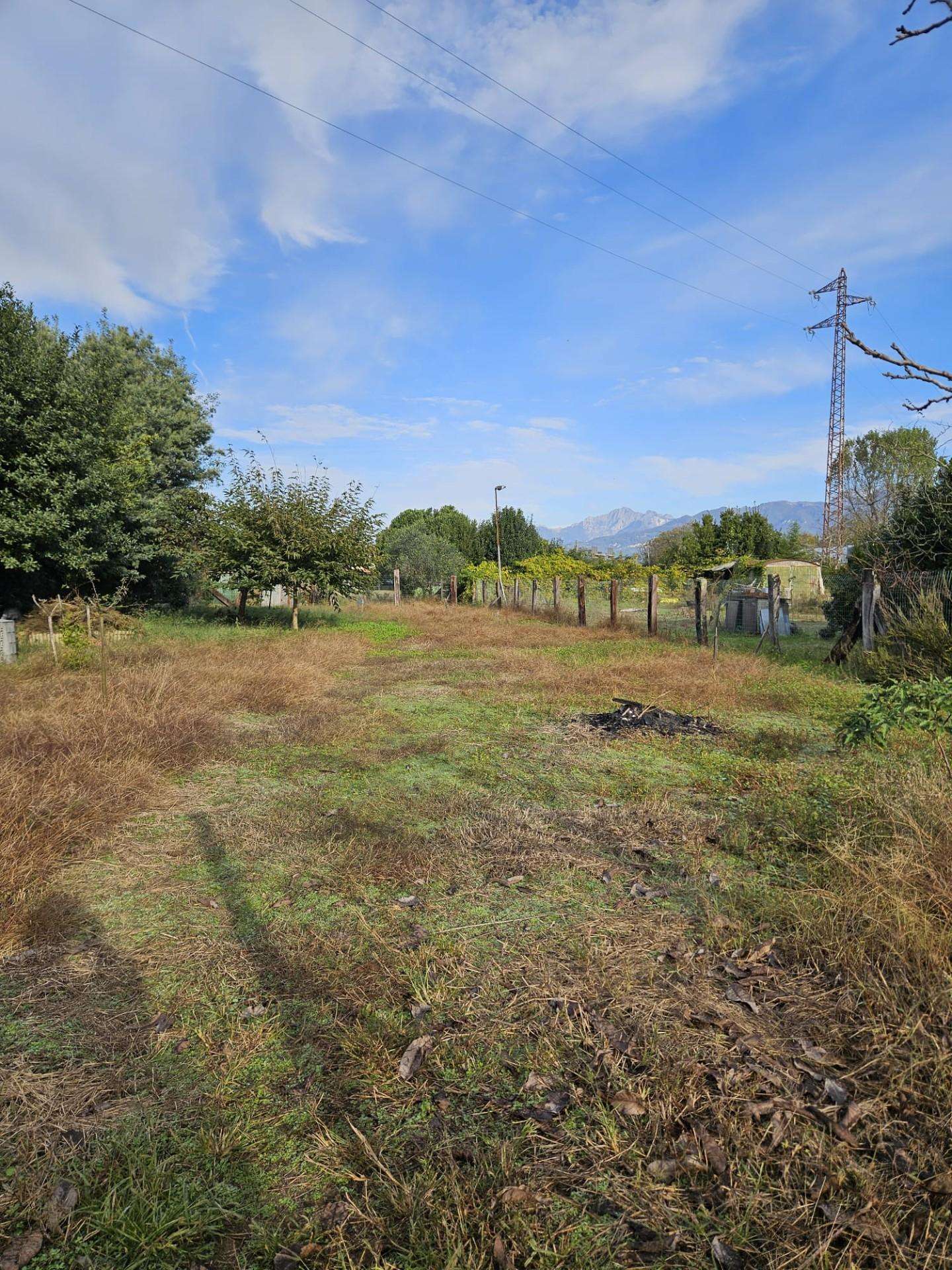 Terreno agricolo della Migliarina, Viareggio