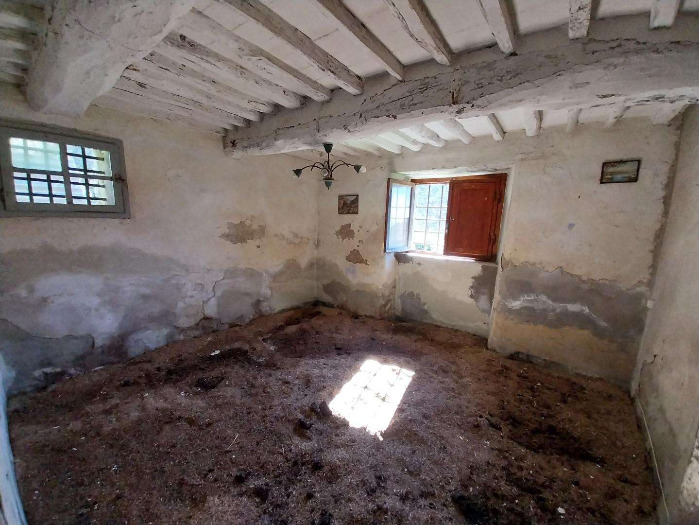  - foto 16