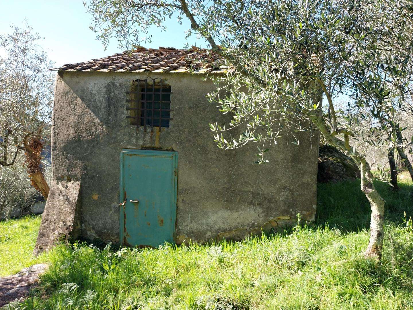  - foto 5