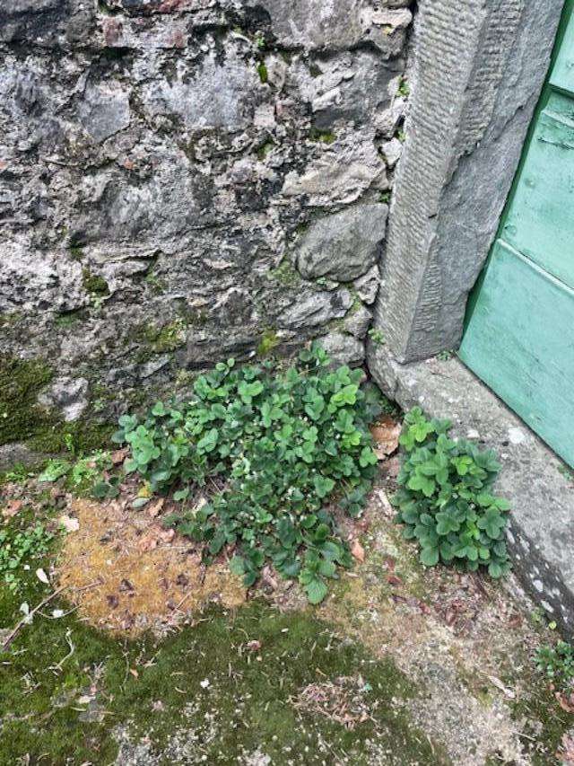  - foto 47