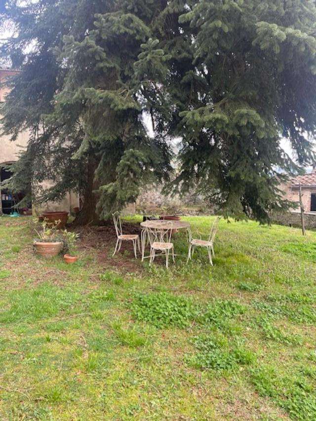  - foto 62