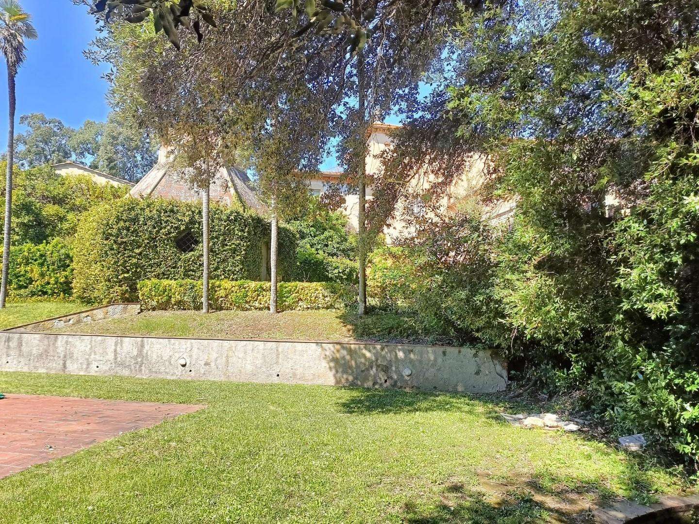  - foto 17