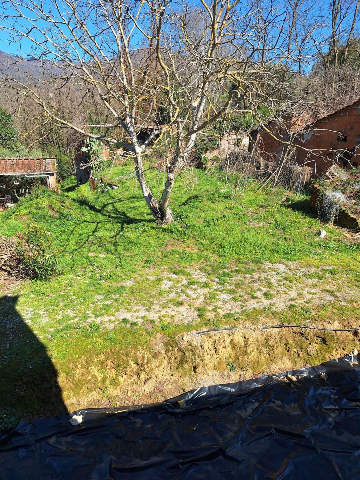 immagine annuncio 5 di 14