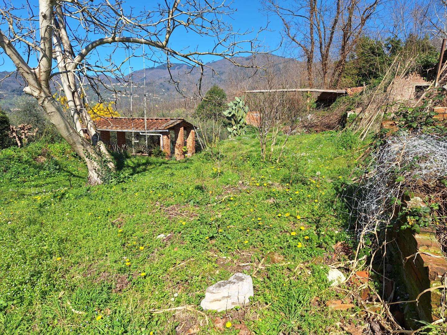 immagine annuncio 10 di 14